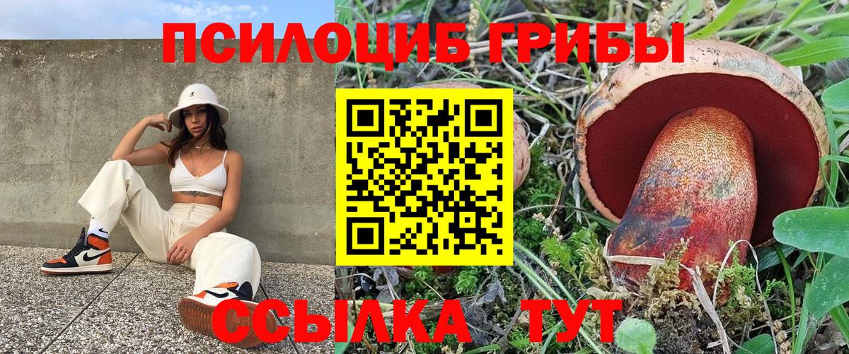 Белебей  где продают   Вход с VPN  Галлюциногенные грибы Cubensis 